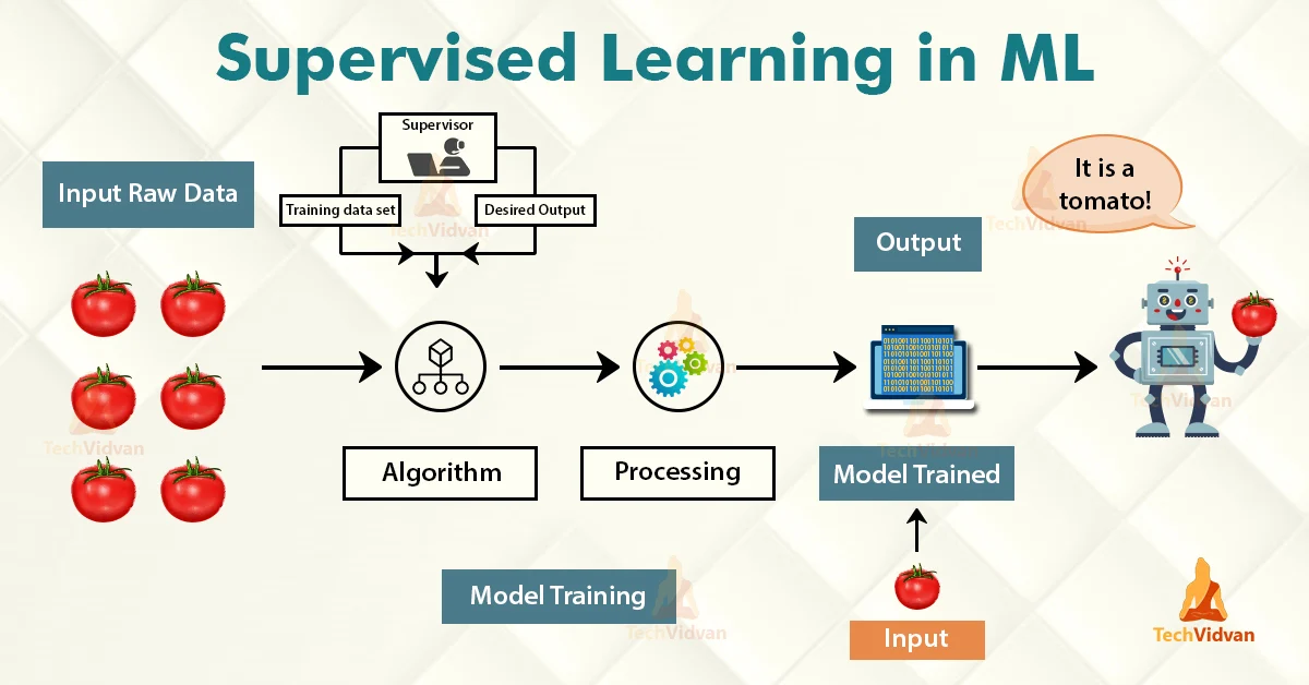 Supervised Learning